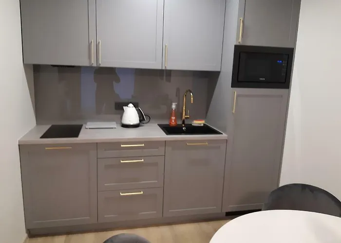 Luxury Maluno Vilos Apartment